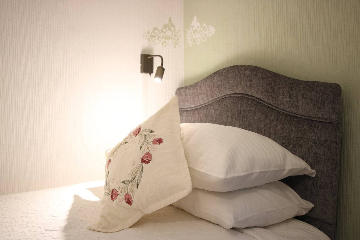 image of Greylands Guesthouse Llandrindod Twin Room Goldfinch 003