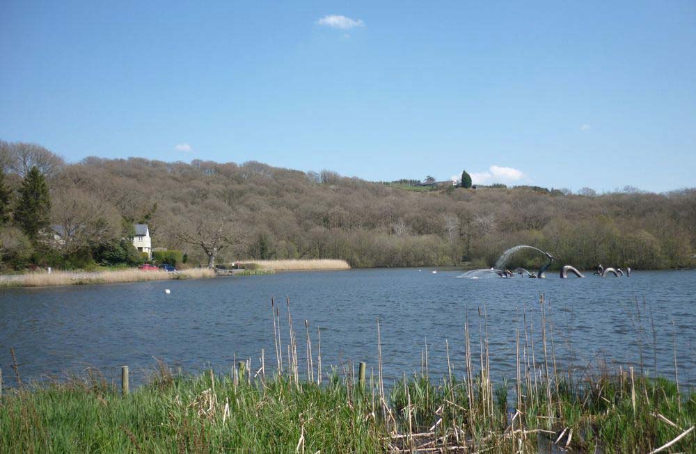 image of Llandrindod Wells Lake 2