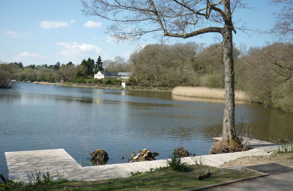 image of Llandrindod Wells Lake 4