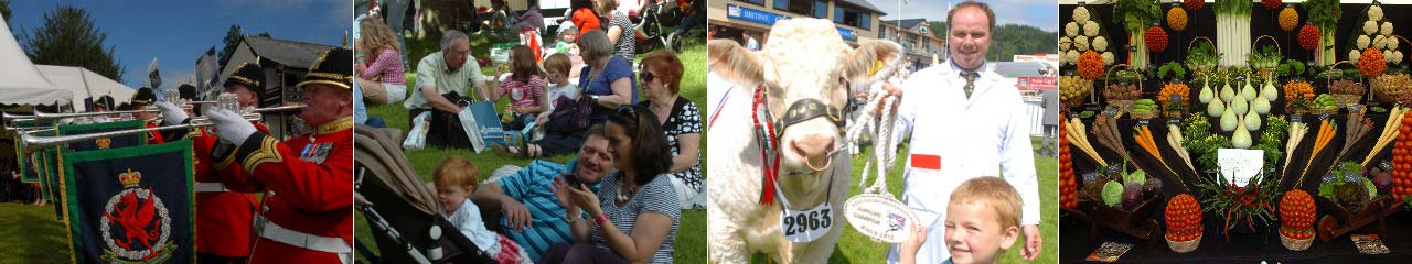 Click here to view the image of Looking Forward To The 50th Royal Welsh Show at higher resolution. An image of Looking Forward To The 50th Royal Welsh Show goes here.